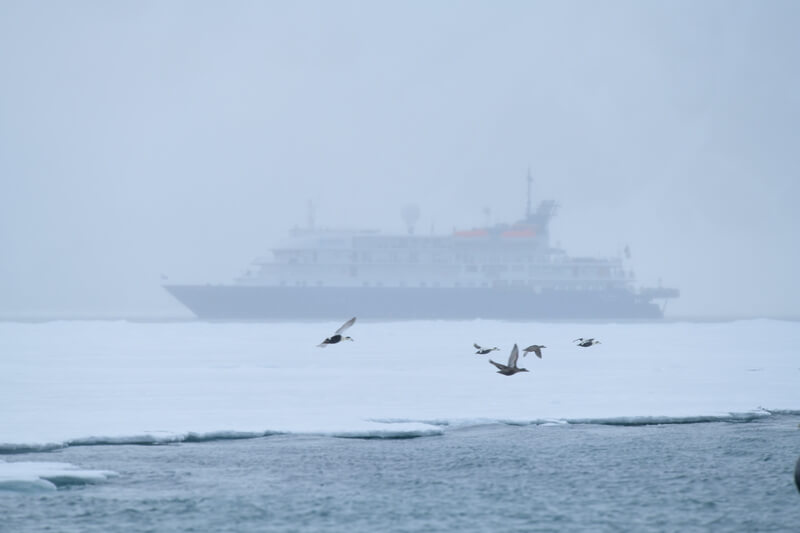 Im Nebel sieht man das Kreuzfahrtschiff im Polareis oberhalb von Spitzbergen